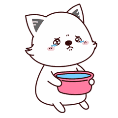 廈門市裝修裝飾公司_廈門裝修電話_廈門裝修電話號碼查詢