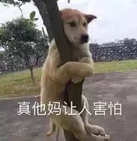 廈門(mén)裝修散工_廈門(mén)工人裝修公司電話(huà)_廈門(mén)裝修工人