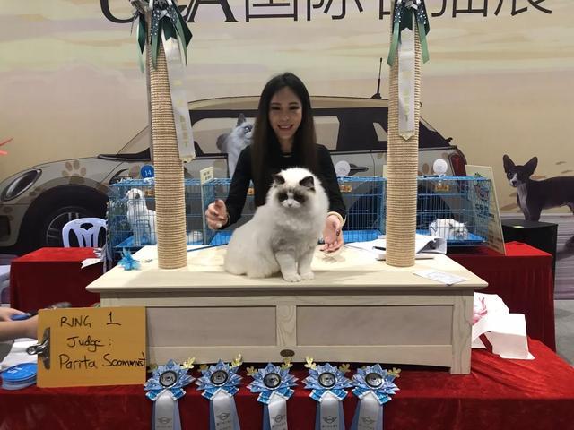 廈門(mén)家裝博覽會(huì)_廈門(mén)家裝博覽會(huì)2023時(shí)間表_家裝博覽會(huì)2023