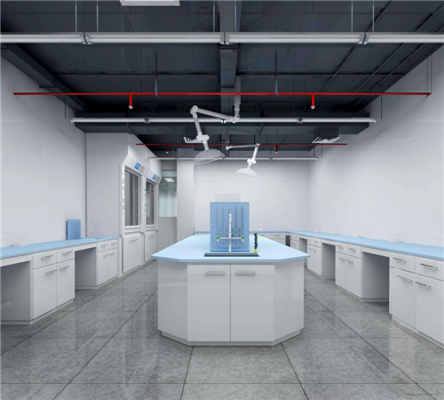 廈門(mén)實(shí)驗(yàn)室裝修設(shè)計(jì)_廈門(mén)室內(nèi)裝修設(shè)計(jì)_廈門(mén)裝修室實(shí)驗(yàn)設(shè)計(jì)師招聘
