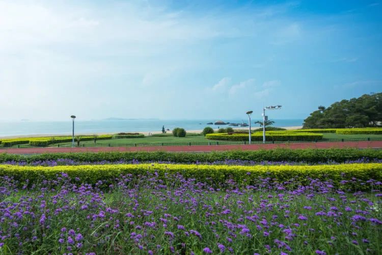 廈門(mén)周末裝修時(shí)間國(guó)家規(guī)定_廈門(mén)周末裝修投訴電話_廈門(mén)周末裝修