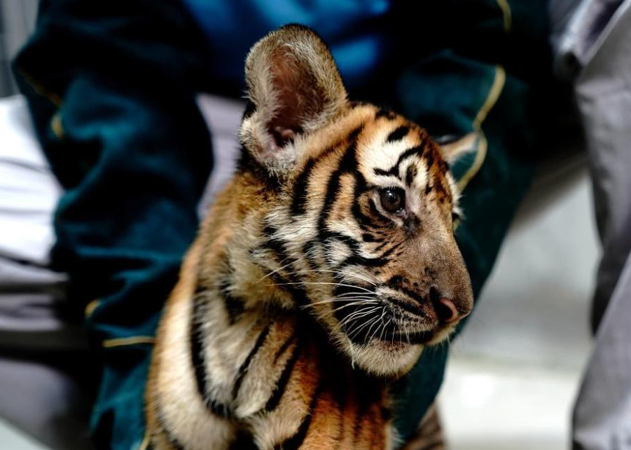 廈門點維裝飾_廈門裝飾裝修_廈門裝修裝飾公司