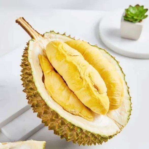 廈門(mén)裝修貸款申請(qǐng)需要條件_廈門(mén)銀行裝修貸_廈門(mén)貸裝修銀行能貸款嗎