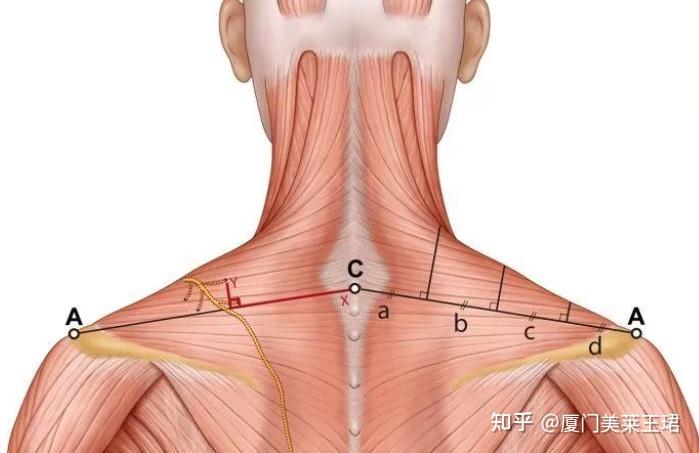 廈門裝修貸利率_廈門裝修貸_廈門裝修貸哪個銀行利率低