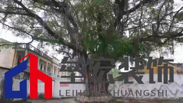 期頤華僑反哺故鄉(xiāng)桑梓情深，“夢改”助力潮州大吳村再綻魅力