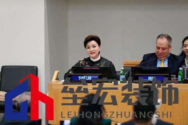 楊瀾聯(lián)合國詮釋中國匠心 左右沙發(fā)六大工藝讓世界看見“器以載道”